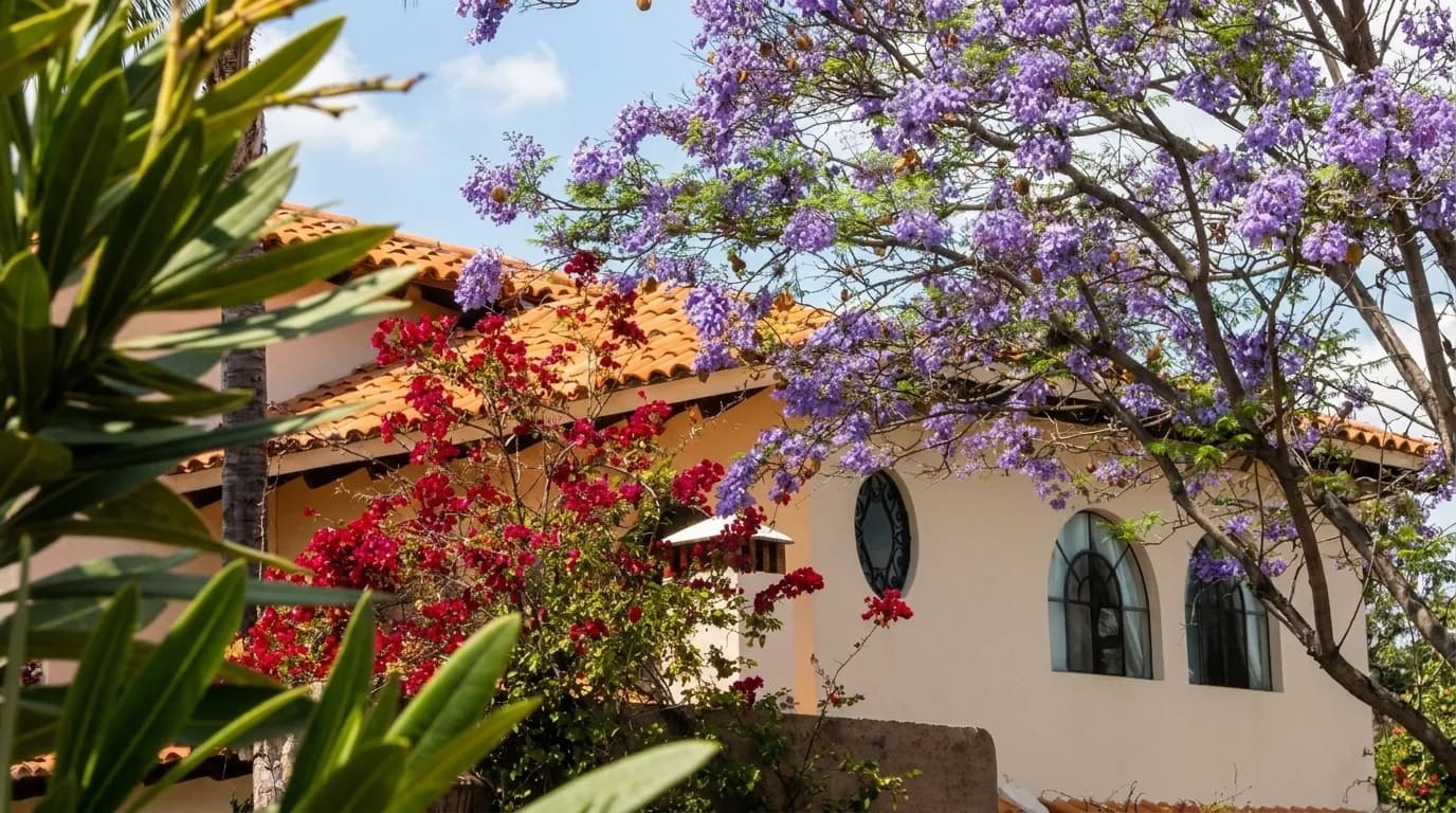 Casa Jazmin front facade at golden hour